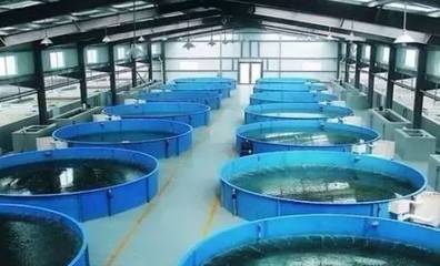 既要養好魚，又要護生態 一文秒懂《工廠化水產養殖系統》安裝指南